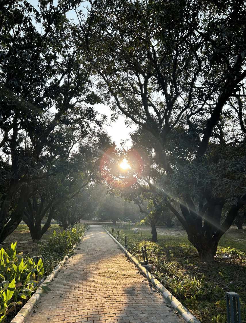 AMBEDKAR PARK, LIBRARY